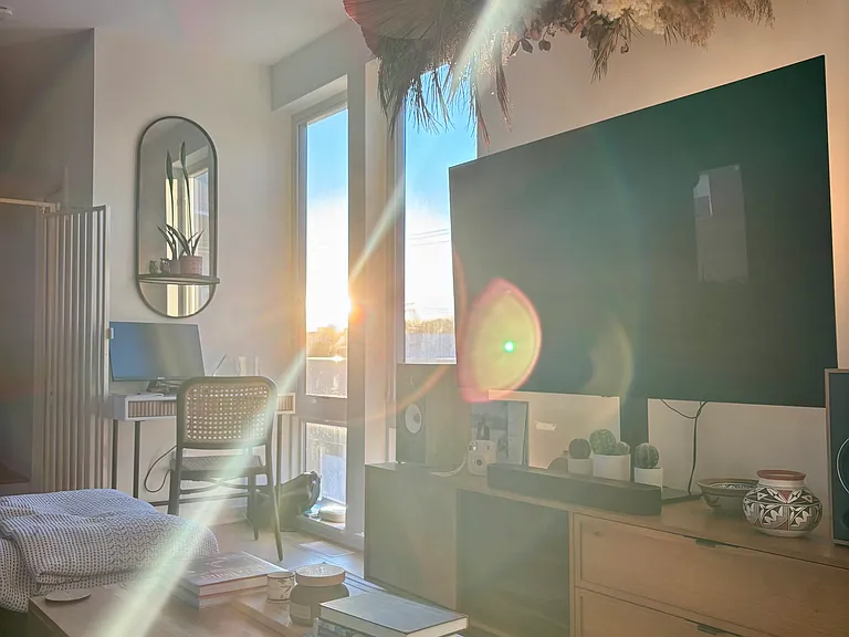 Evening light