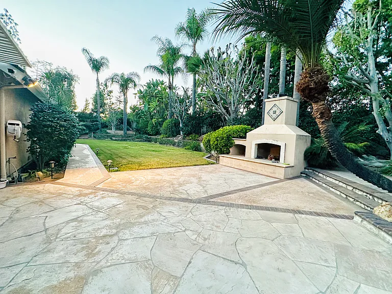 19190 Palm Vis — Photo 24