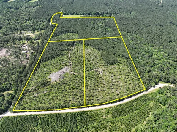 36 Westville Rd, Groveton, TX 75845