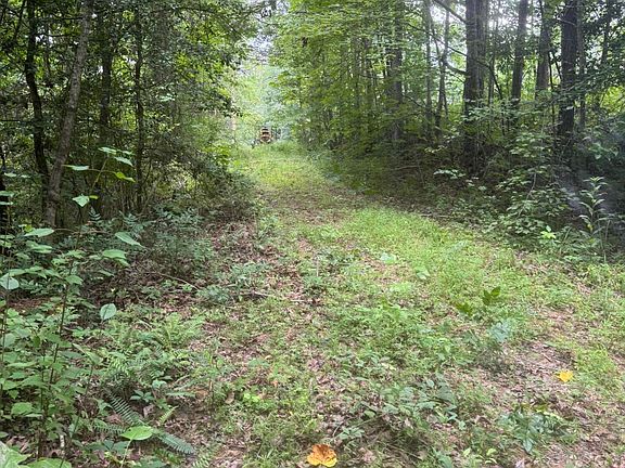 4th image of 24,25 Camp Creek Estates Drive