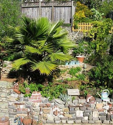 3 level garden