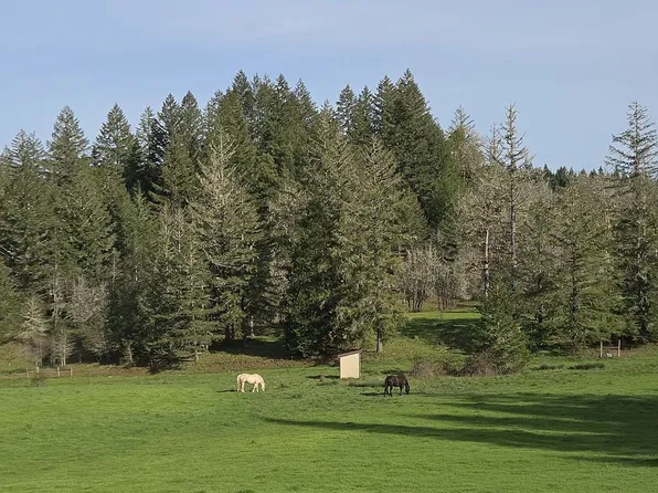 3920 Upper Camas Rd, Camas Valley, OR 97416