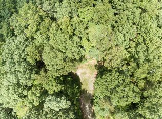 10 Noontootla Ridge Ct, Blue Ridge, GA 30513