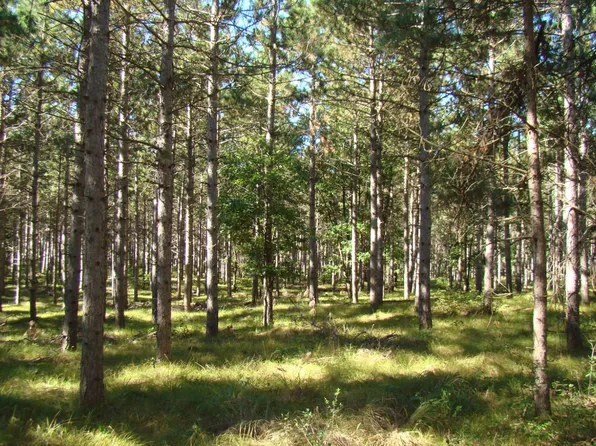 11 Hidden Trl #11, Nekoosa, WI 54457