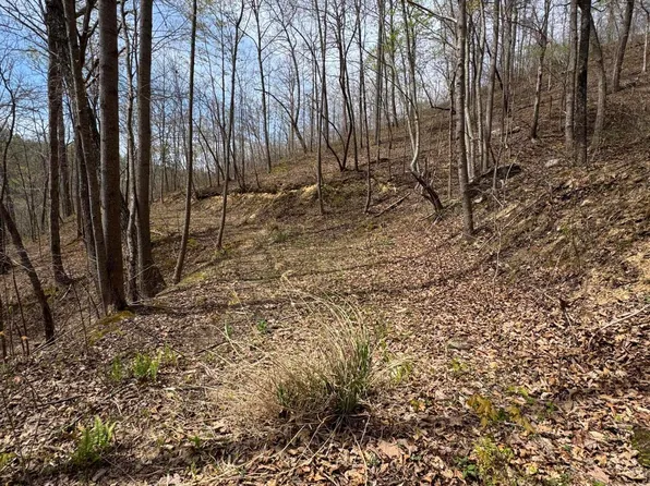 1 Callebs Creek Rd, Hinkle, KY 40953