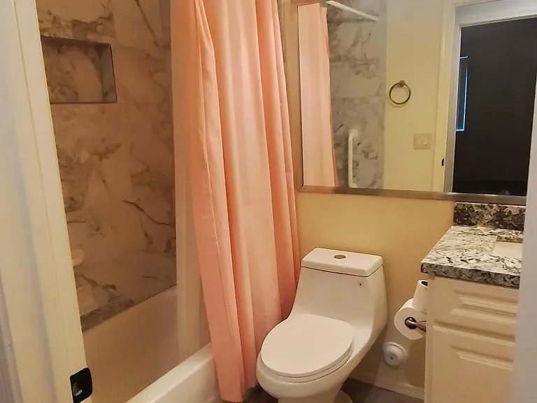 Hall bathroom
