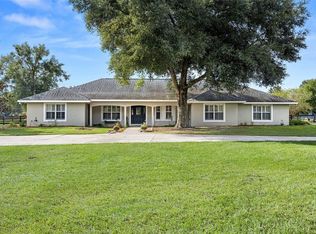22722 Wolf Branch Rd, Sorrento, FL 32776