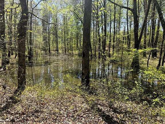 2nd image of 371 County Road 357