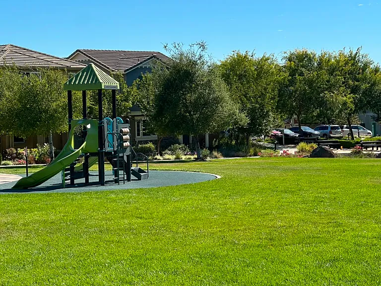Community Park