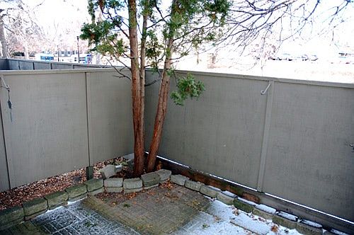 5th image of 365 E 43rd St