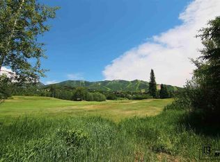 1152 Redwoods Ct, Steamboat Springs, CO 80487