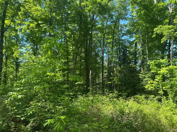 24 Cth G, Pelican Lake, WI 54463