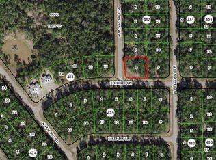 181 E Runic Ln, Citrus Springs, FL 34434