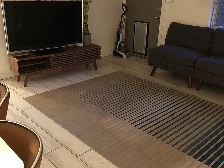 Living room depicting dog door with carpet and furniture view from kitchen