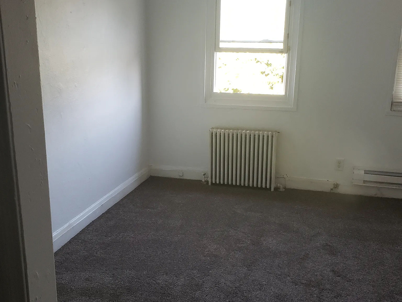 1 bed, $1,000 — Photo 4
