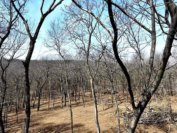 4th image of LOT 10 E 845th Rd