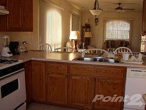 P1010164