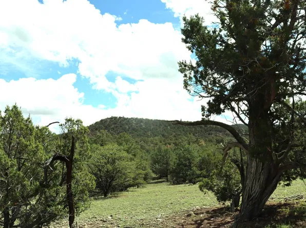 0 Last Frontier Trl Unit I, Datil, NM 87821