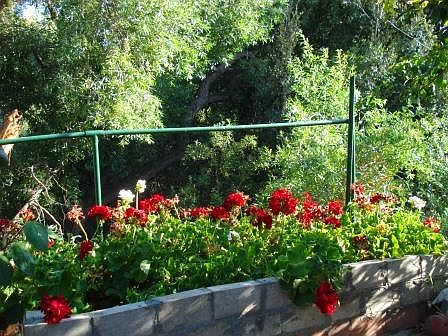 gardens and nice yard