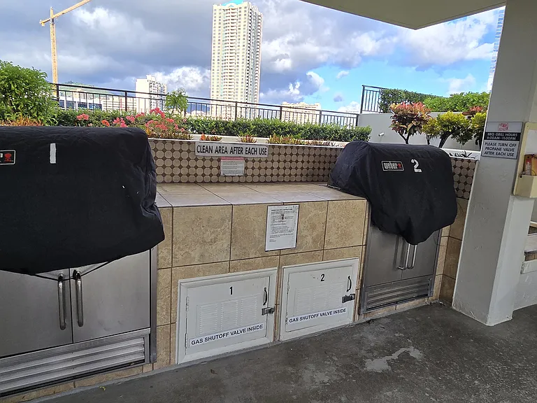 2 gas grills