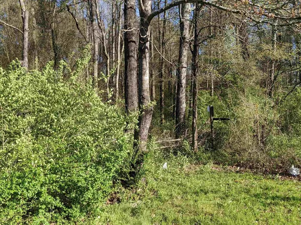 32 Oddie Ln, Ward, AR 72176