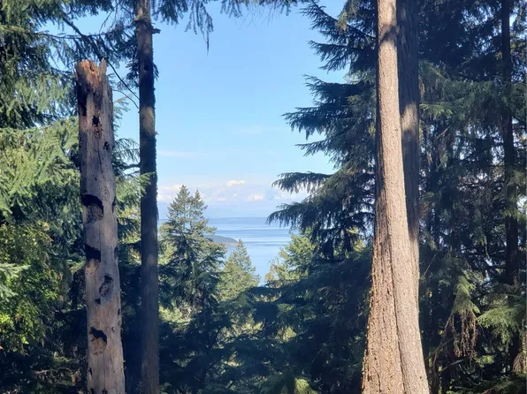 815 Twin Lakes Drive, Orcas Island, WA 98245