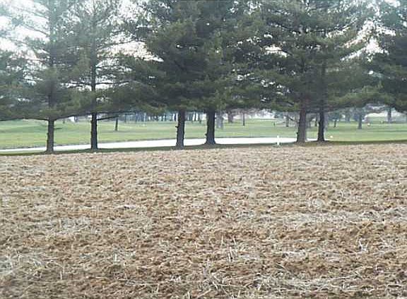 3rd image of 951 Country Club Dr