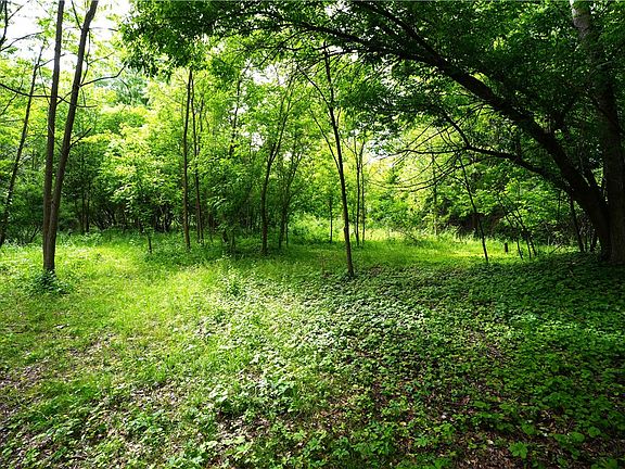 5th image of 355 Fairport Rd Lot 3