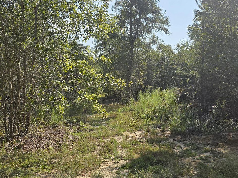 1st image of Spirit Ln