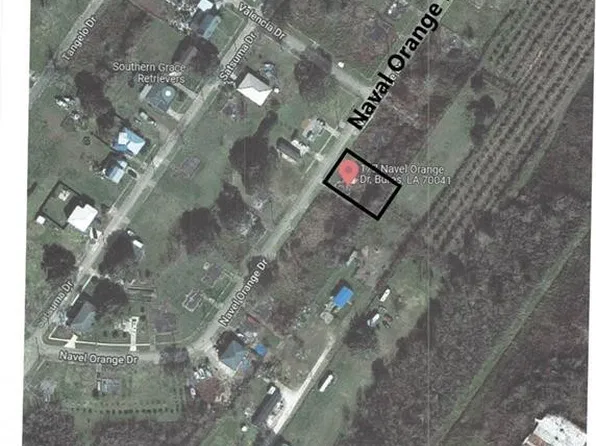 177 Navel Orange Dr, Buras, LA 70041