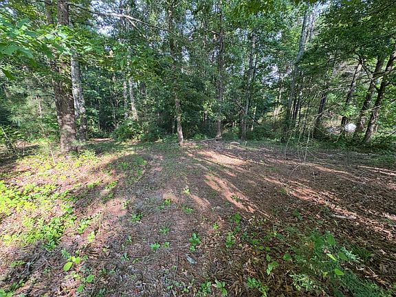 5th image of 0 County Road 1223