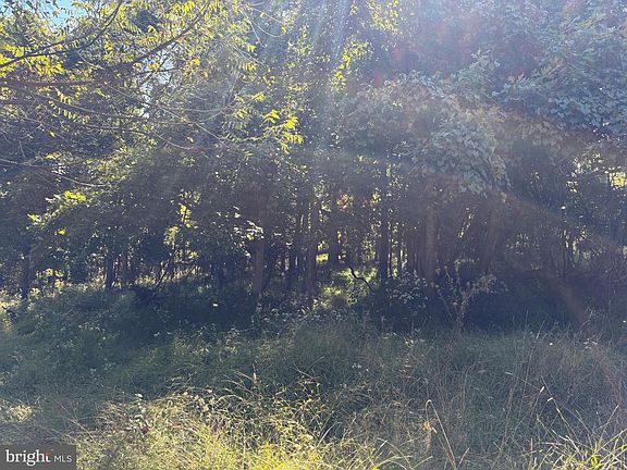 5th image of LOT 205 Graces Cabin Rd