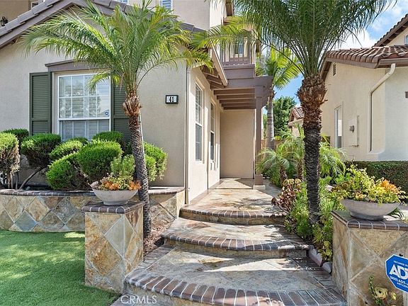 3rd image of 41 Carpenteria