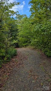 821 Turkey Pen Gap Rd, Horse Shoe, NC, 28742