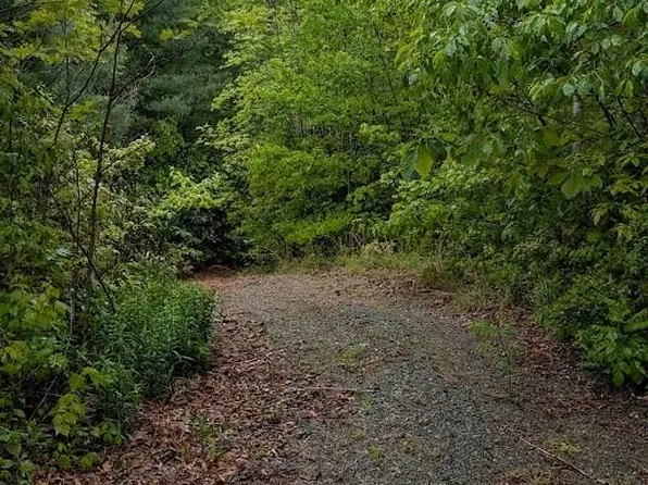 821 Turkey Pen Gap Rd, Horse Shoe, NC 28742