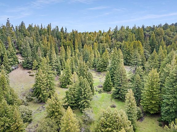 4th image of 3611 Flynn Creek Road