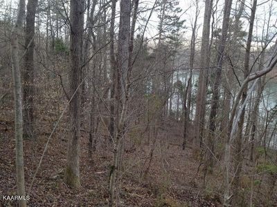 47 The Battery Lot 47, Kingston, TN, 37763