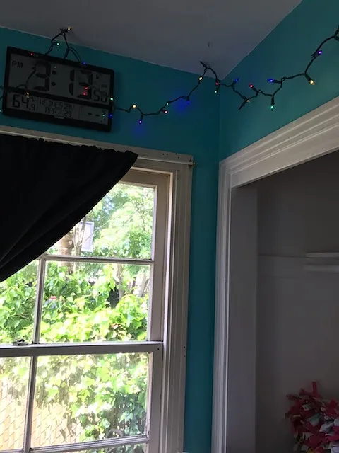 1 bed, 1.5 bath, 2182 sqft, $800 — Photo 2