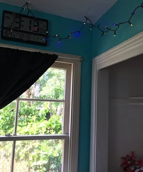 2424 Williams St #2 — Photo 7