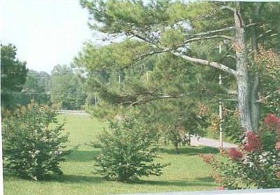 2nd image of 7450 Noah Reid Rd
