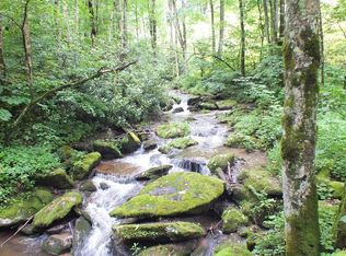 Little Creek Rd, Hot Springs, NC 28743
