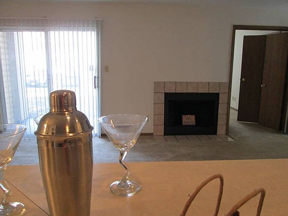 Wood Burning Fireplace