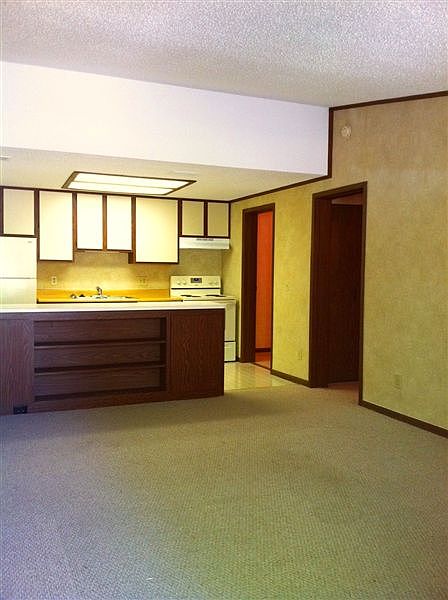 photo1