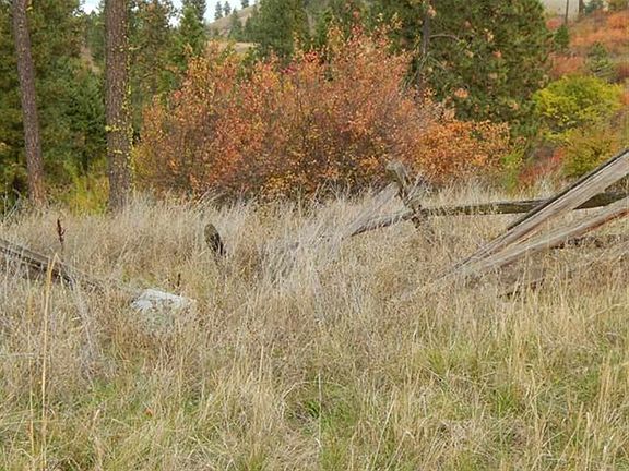 2nd image of Gold Wagon Dr
