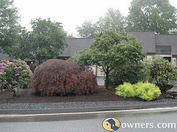 Cluster landscaping, from road