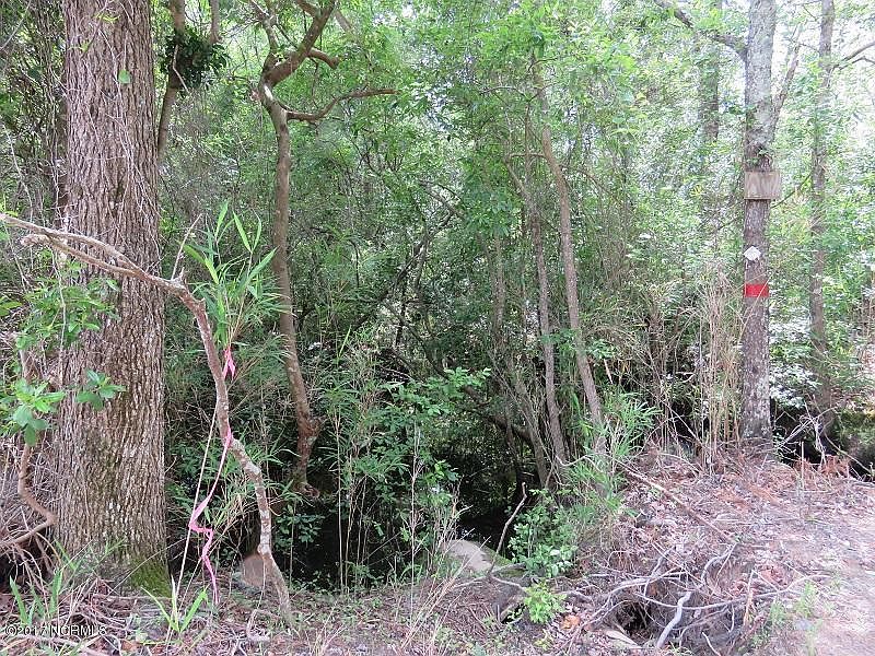2nd image of 24 & Off North Side 24