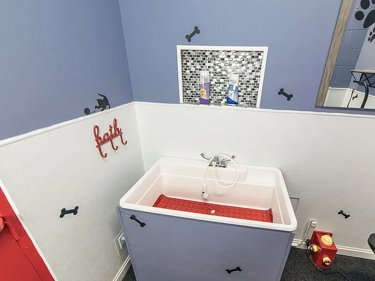 Shoreham Apartments — Photo 12