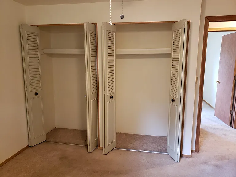 Master bedroom closets