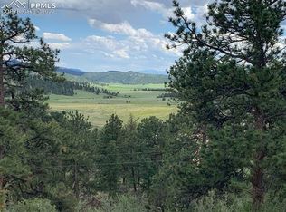 45 Del Norte Cir, Florissant, CO 80816
