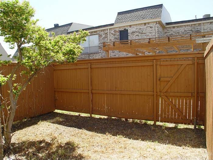 Back yard